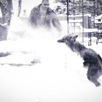 Chris Jensen Photo 35