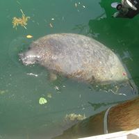 Benjamin Tice Photo 15