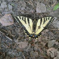 Ruth Armstrong Photo 19 Ruth Armstrong Photo 19