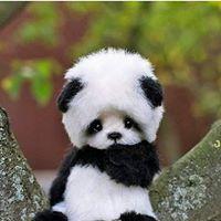 Jackie Cowan Photo 31