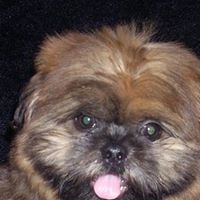 Bonnie Stafford Photo 12