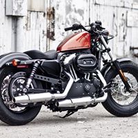 David Lubert Photo 1