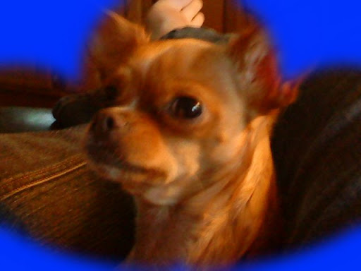 Sara Sorensen Photo 34