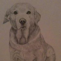 Kirstin Young Photo 9