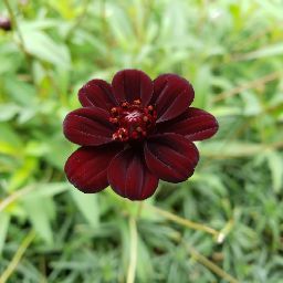 Christine Delgado Photo 32