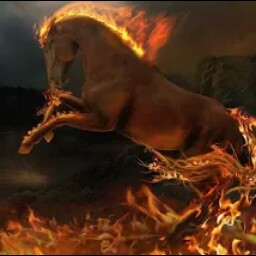 Thelma Phillips Photo 11