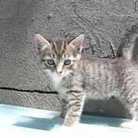 Jerry Steele Photo 22