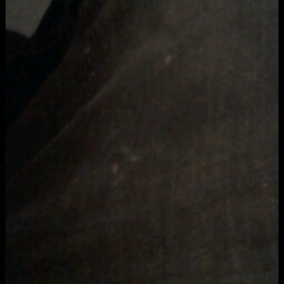 Tomasa Flores Photo 21