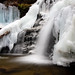 Glen Sharp Photo 23