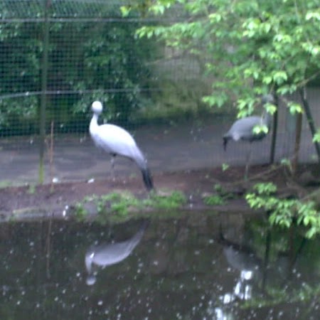 Catherine Leslie Photo 17