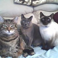 Nancy Clouse Photo 8