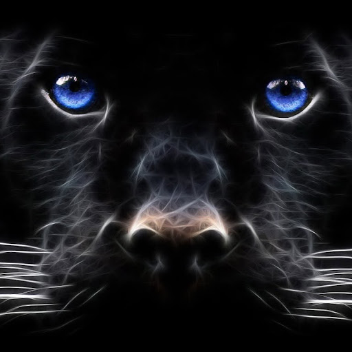 Heidi Fields Photo 24