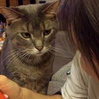 Sara Mccune Photo 22