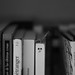 Ana Salinger Photo 5