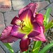Jerry Joiner Photo 15