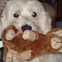 Rita Summers Photo 19