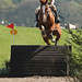 Sarah Deal Photo 14
