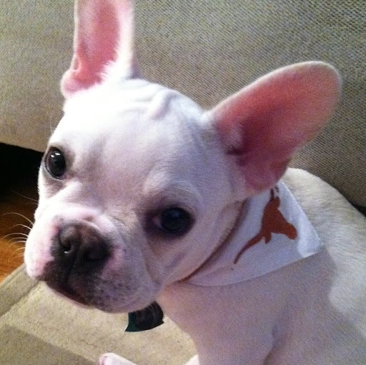 Julie Hahn Photo 32 Julie Hahn Photo 32