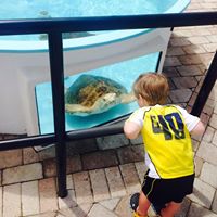 Andrew Forbes Photo 23