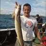 Scott Webster Photo 21