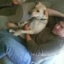 Jeffery Ward Photo 10