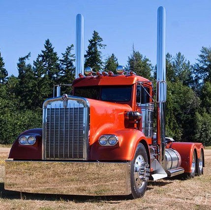 Ken Mayfield Photo 18