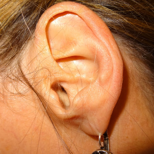 Diane Ouellette Photo 13