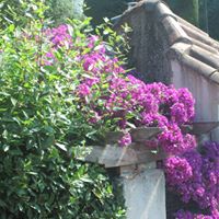 Angela Keating Photo 29