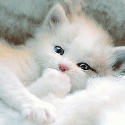 Sandra Burrows Photo 12