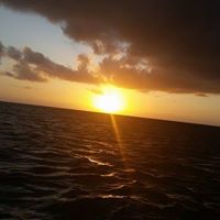 Debbie Hocking Photo 6