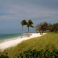 Stephen Petro Photo 16