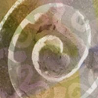 Cheryl Mcdonough Photo 9