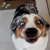 Judith Stevenson Photo 17