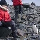 Deborah Beckmann Photo 11