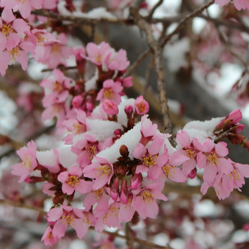 Shun Leung Photo 13 Shun Leung Photo 13