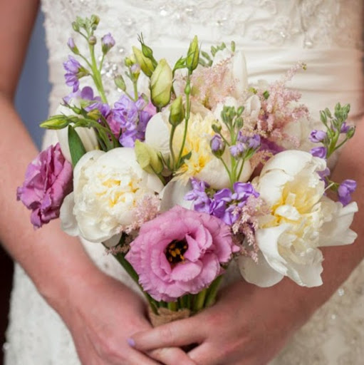 Stephanie Kelley Photo 14