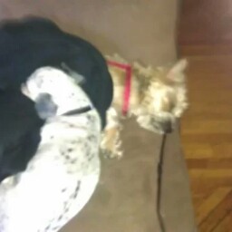 Christopher Arnett Photo 13