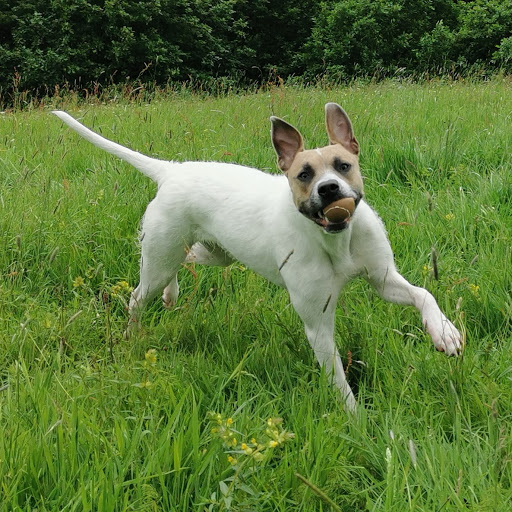 Darryl Wilkinson Photo 21