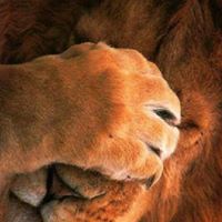 Erica Silva Photo 10