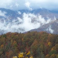 Laurie Burch Photo 10