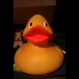 Kyle Flaherty Photo 9