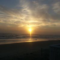 Andrea Ross Photo 14