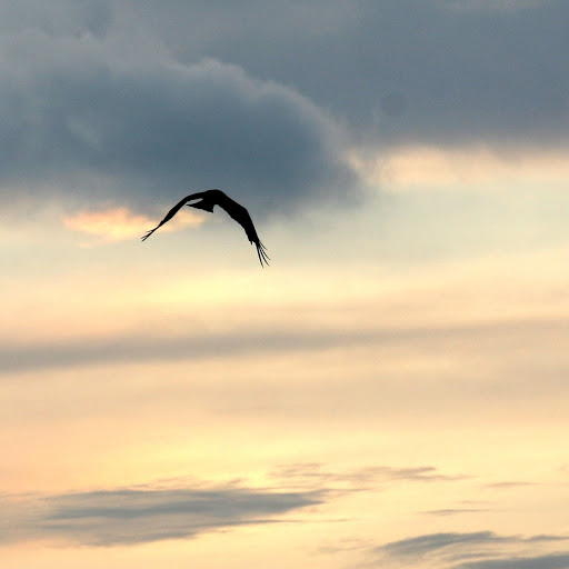 Donald Leung Photo 3 Donald Leung Photo 3