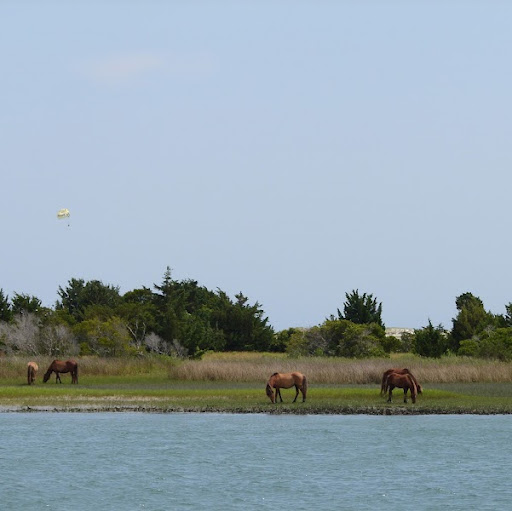 Janet Bradley Photo 18