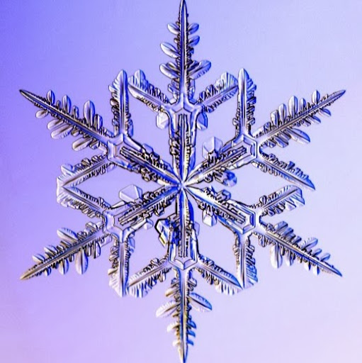 Michele Richard Photo 4 Michele Richard Photo 4