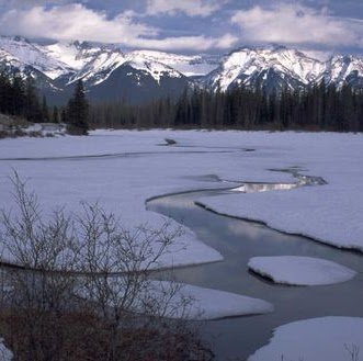 Debra Coleman Photo 11
