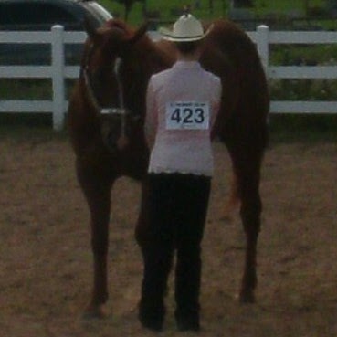 Jessica Link Photo 32