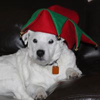 Janice Mcclendon Photo 11