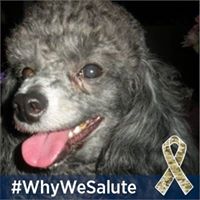 Susan Wolfe Photo 32