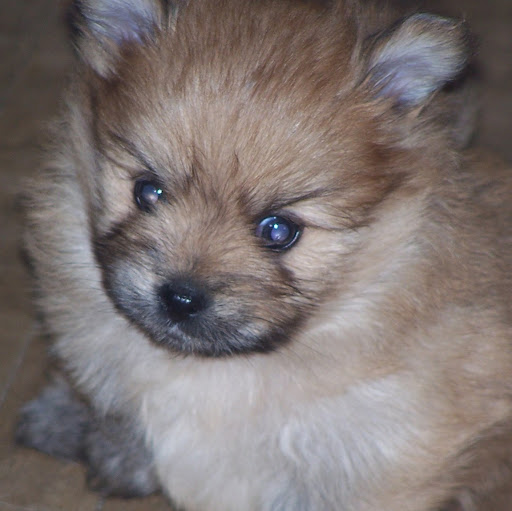 Leah Robbins Photo 12